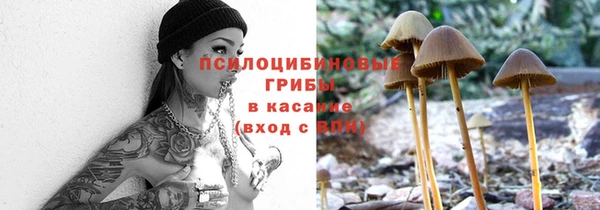гидропоника Алзамай