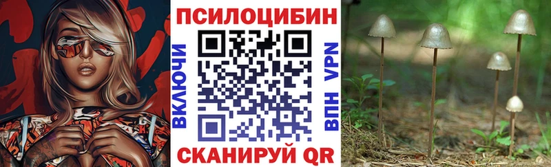 наркошоп  Сосновоборск  Галлюциногенные грибы Psilocybine cubensis 